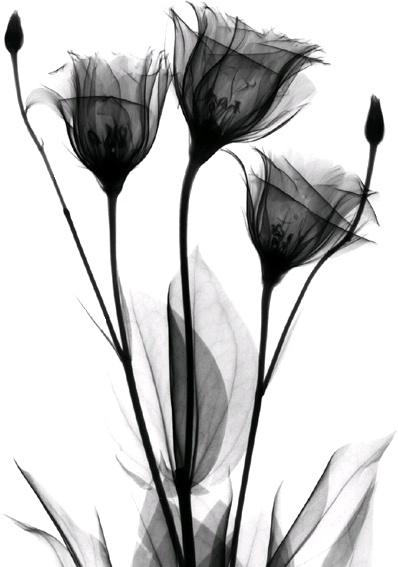 Tube fleur